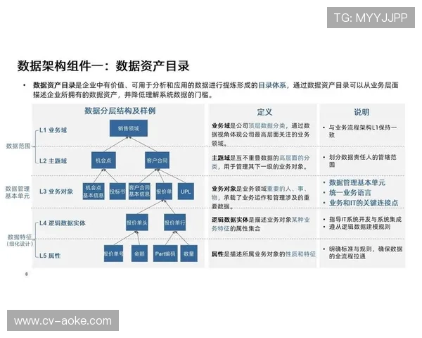 数字化升级阶段内软件定义存储架构确立 预示体育数字资产体系全云化未来